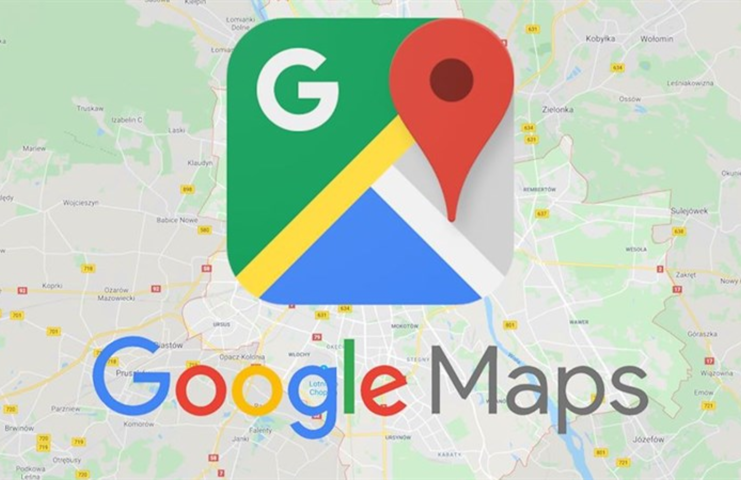 Google Maps Review Service