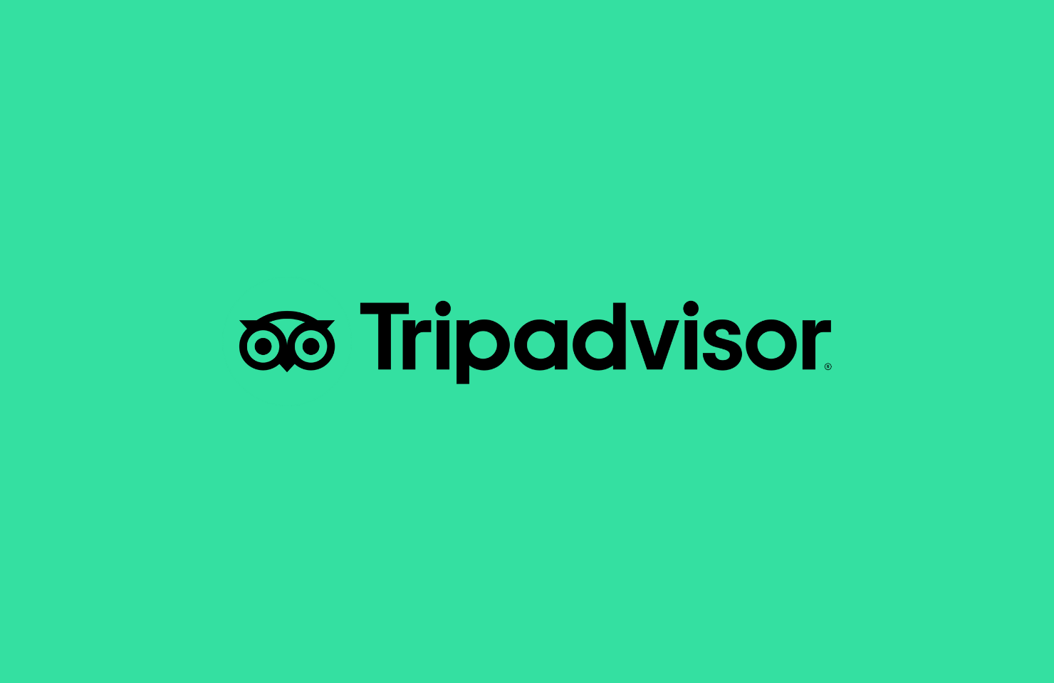 Tripadvisor Review Service